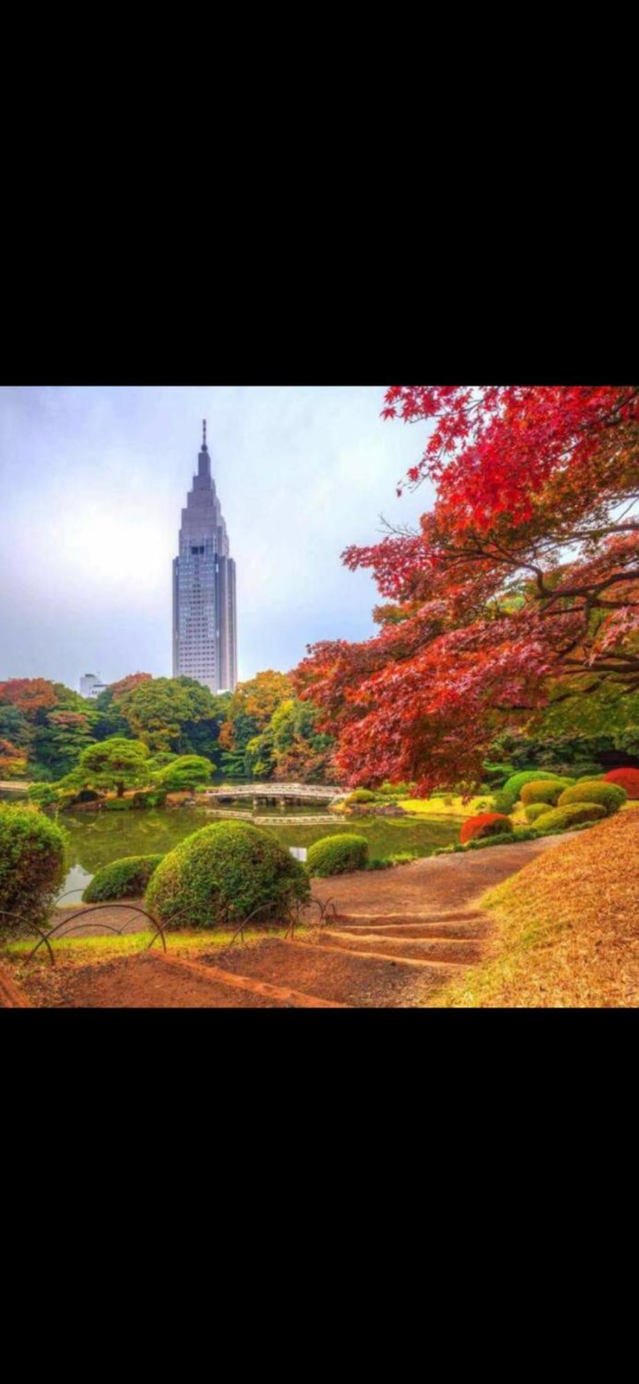 新宿庭院の屋-Shinjuku Garden Home -28 Square Meters King Size Bed Garden Room Токио Экстерьер фото